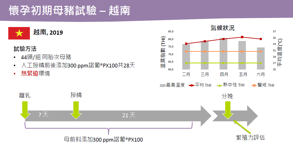 諾葡越南母豬試驗，熱緊迫時期使用諾葡